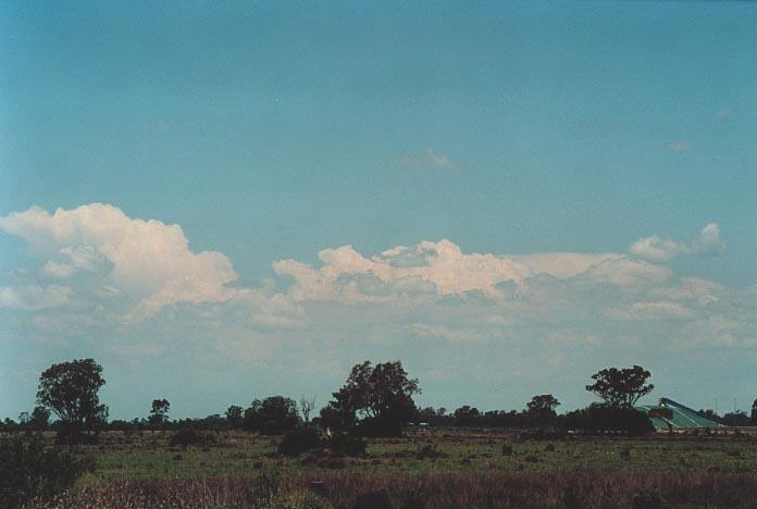 thunderstorm cumulonimbus_calvus : Goondiwindi, Qld   27 November 2000