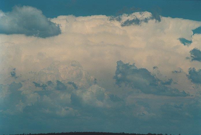 thunderstorm cumulonimbus_incus : E of Yelarbon, Qld   27 November 2000