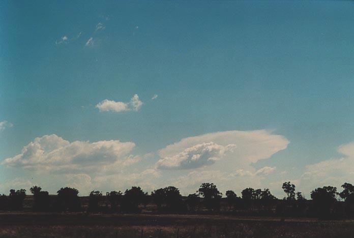 thunderstorm cumulonimbus_incus : W of Tamworth, NSW   28 November 2000