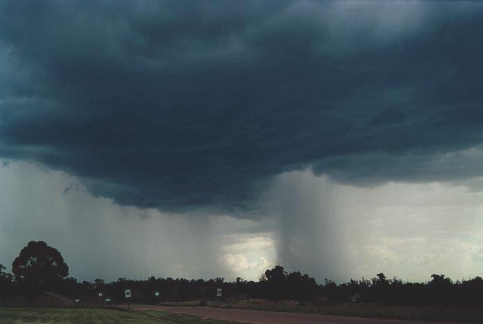 raincascade precipitation_cascade : Mullaley, NSW   28 November 2000