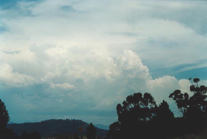 thunderstorm cumulonimbus_calvus : Quirindi lookout, NSW   29 November 2000
