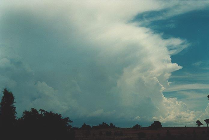 thunderstorm cumulonimbus_incus : Quirindi, NSW   29 November 2000