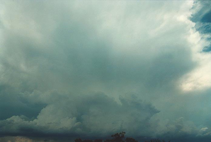thunderstorm cumulonimbus_incus : W of Quirindi, NSW   29 November 2000