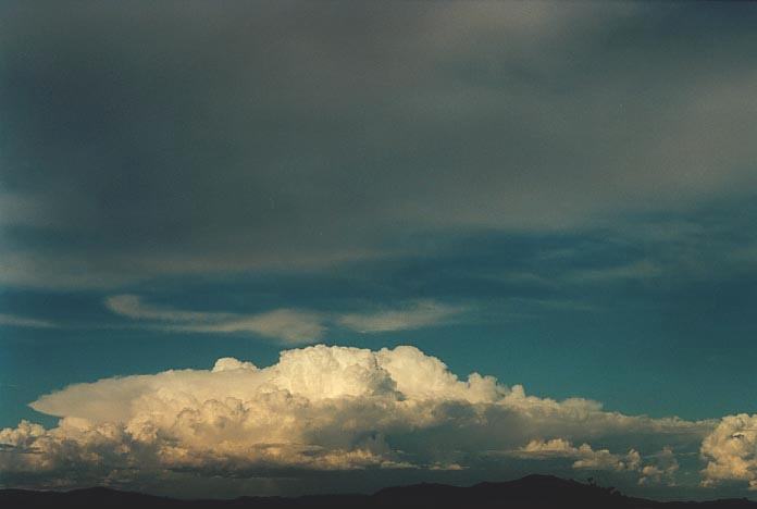 thunderstorm cumulonimbus_incus : NW of Singleton, NSW   30 November 2000