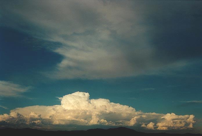 thunderstorm cumulonimbus_calvus : NW of Singleton, NSW   30 November 2000