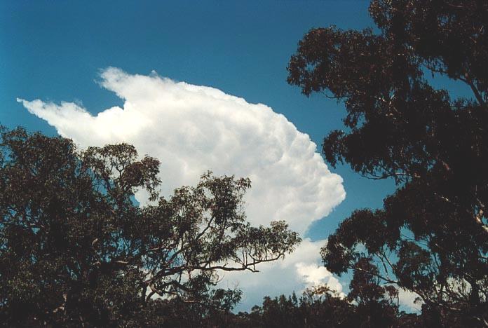 thunderstorm cumulonimbus_incus : Putty Road near Stoney Creek, NSW   6 December 2000