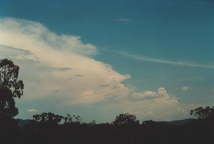 thunderstorm cumulonimbus_incus : N of Bulga, NSW   6 December 2000
