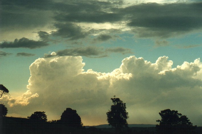 thunderstorm cumulonimbus_calvus : McLeans Ridges, NSW   7 December 2000