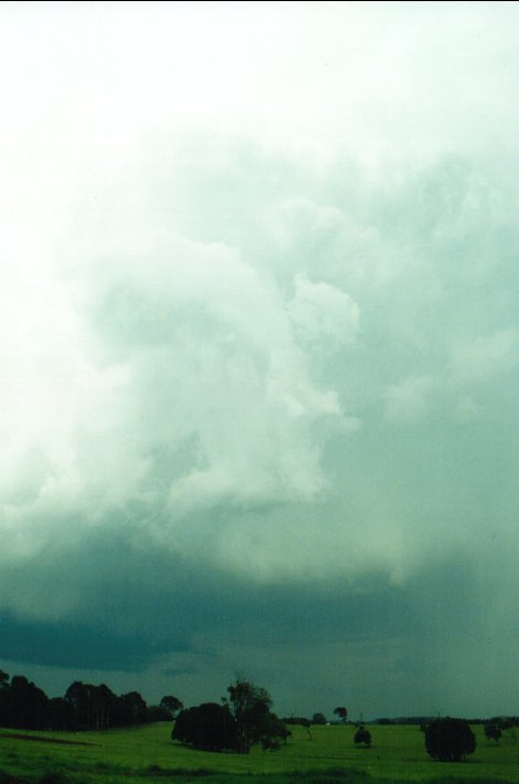 thunderstorm cumulonimbus_incus : Wollongbar, NSW   8 December 2000