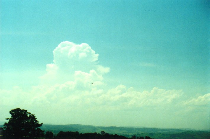 thunderstorm cumulonimbus_calvus : McLeans Ridges, NSW   11 December 2000