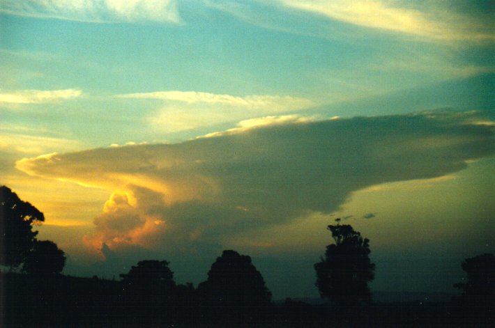 thunderstorm cumulonimbus_incus : McLeans Ridges, NSW   11 December 2000