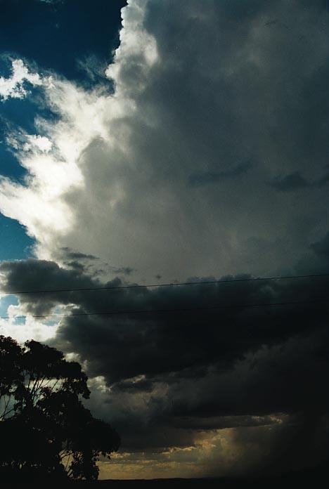 thunderstorm cumulonimbus_incus : N of Marulan, NSW   4 January 2001