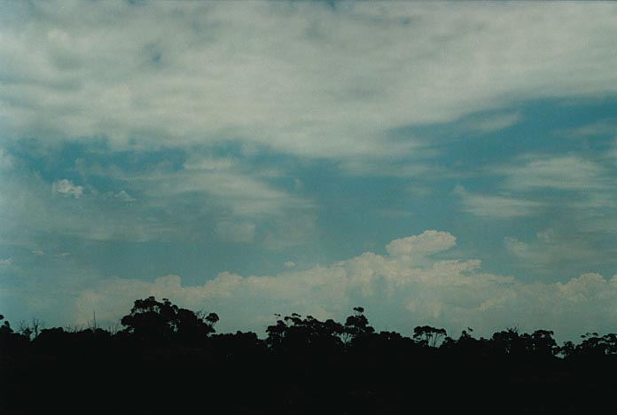 thunderstorm cumulonimbus_calvus : Lithgow, NSW   6 January 2001
