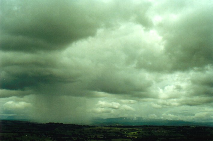cumulus congestus : McLeans Ridges, NSW   7 January 2001