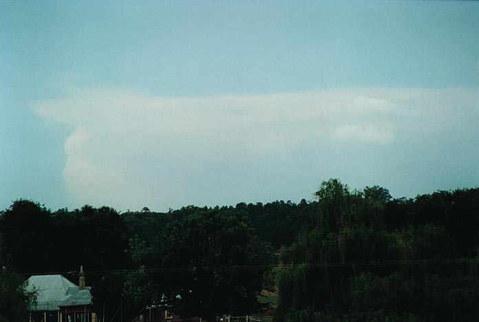 thunderstorm cumulonimbus_incus : S of Tambar Springs, NSW   8 January 2001
