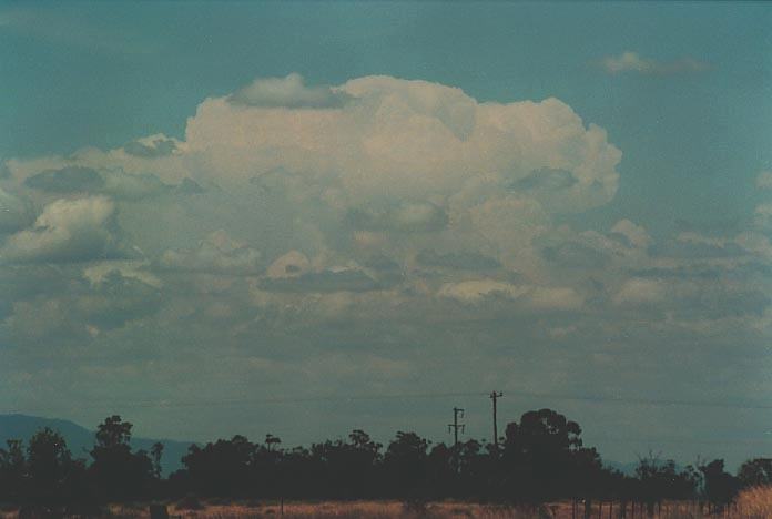 thunderstorm cumulonimbus_incus : Gunnedah, NSW   8 January 2001