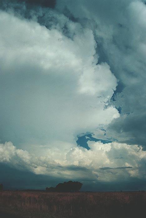 thunderstorm cumulonimbus_incus : near Purlewaugh, NSW   8 January 2001