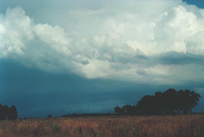 cumulonimbus thunderstorm_base : near Purlewaugh, NSW   8 January 2001