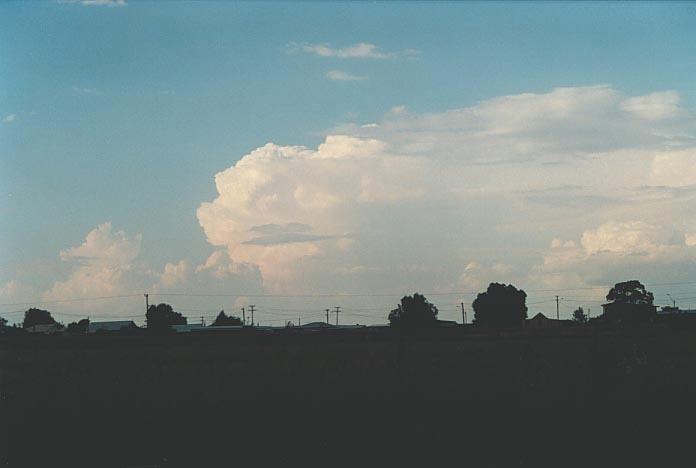 thunderstorm cumulonimbus_incus : Delungra, NSW   16 January 2001