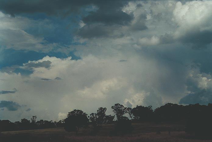 thunderstorm cumulonimbus_incus : 30km E of Guyra, NSW   17 January 2001