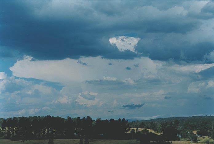 thunderstorm cumulonimbus_incus : W of Wongwibinda, NSW   17 January 2001