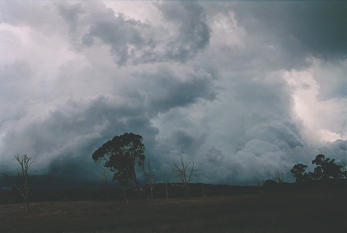 cumulonimbus supercell_thunderstorm : S of Wongwibinda, NSW   17 January 2001