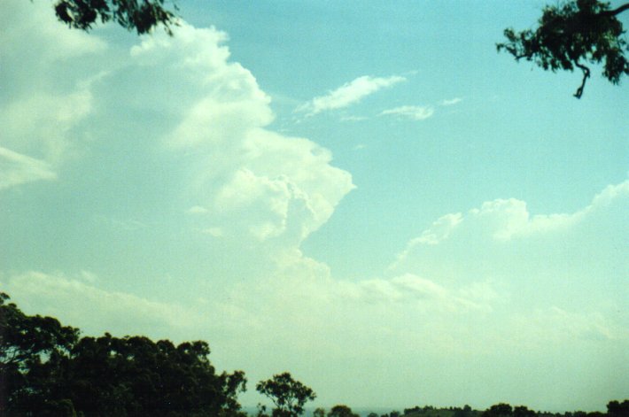 thunderstorm cumulonimbus_incus : Tregeagle, NSW   17 January 2001