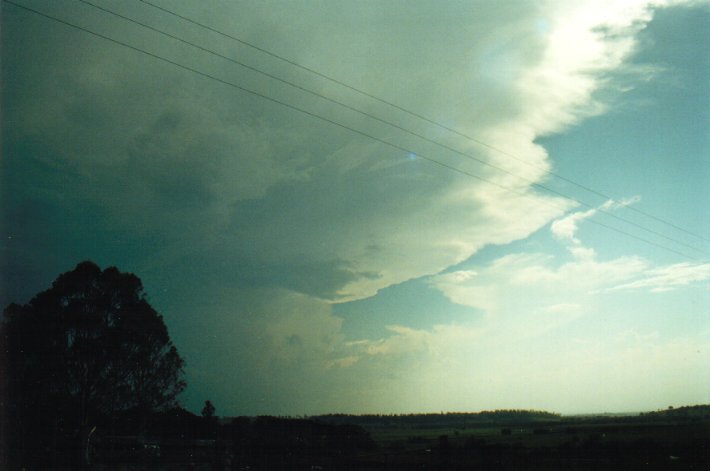 thunderstorm cumulonimbus_incus : Wyrallah, NSW   17 January 2001
