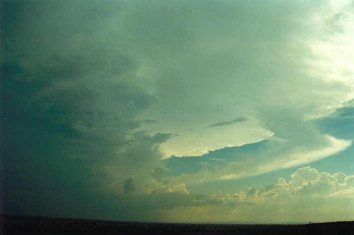 cumulonimbus supercell_thunderstorm : Parrots Nest, NSW   17 January 2001