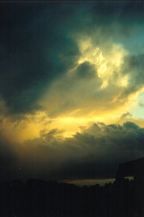 sunrise sunrise_pictures : McLeans Ridges, NSW   18 January 2001