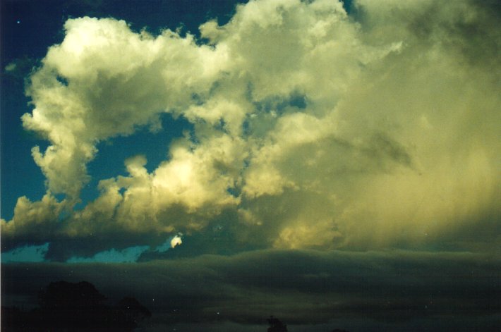 cumulus congestus : McLeans Ridges, NSW   18 January 2001