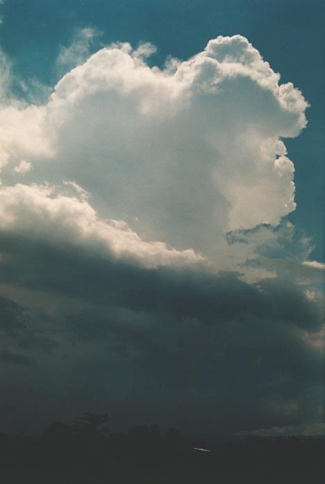 thunderstorm cumulonimbus_incus : Richmond, NSW   4 February 2001