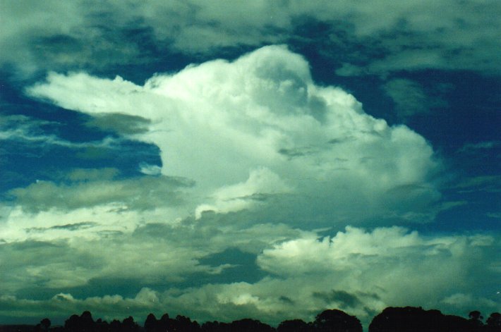 thunderstorm cumulonimbus_incus : McLeans Ridges, NSW   20 February 2001