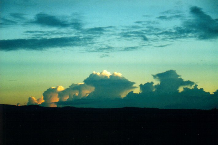 cumulus congestus : McLeans Ridges, NSW   9 March 2001