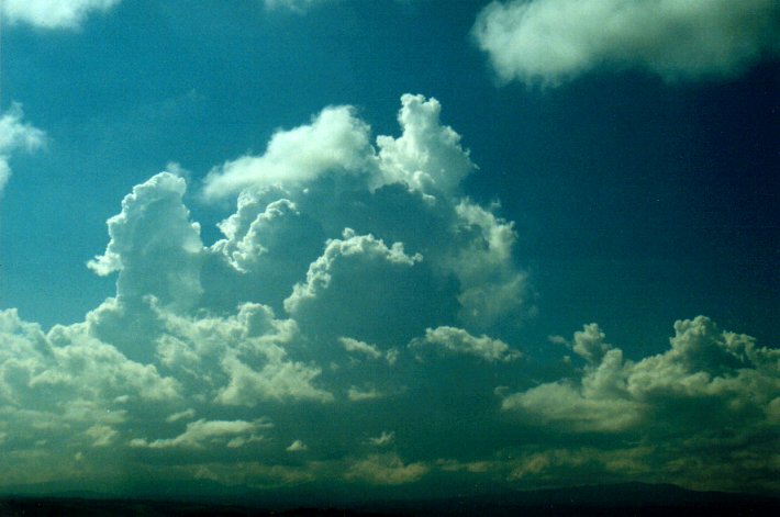 cumulus congestus : McLeans Ridges, NSW   25 March 2001