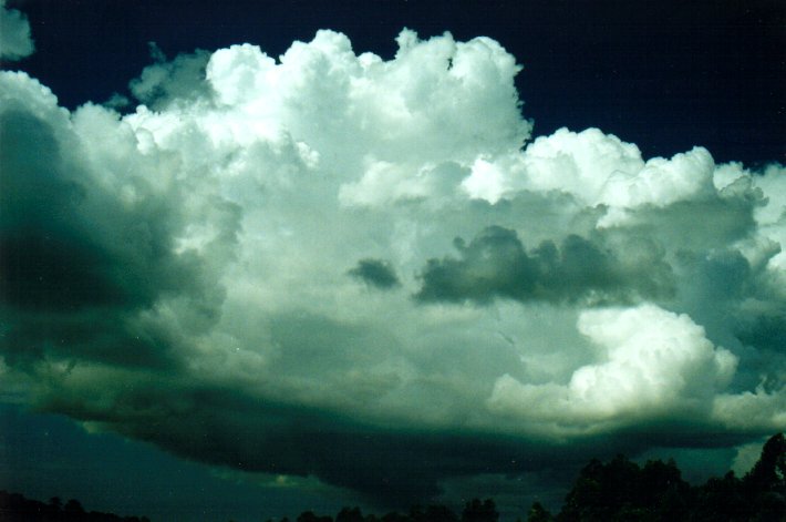 cumulus congestus : McLeans Ridges, NSW   26 March 2001
