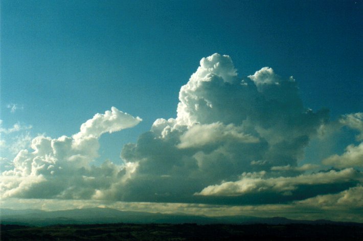 cumulus congestus : McLeans Ridges, NSW   28 April 2001