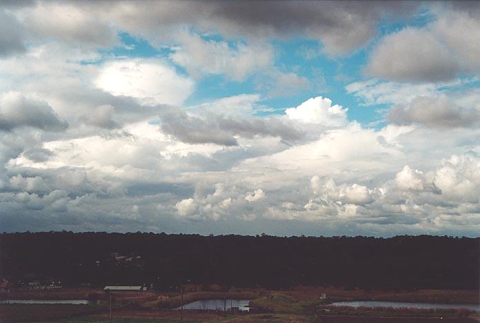 cumulus mediocris : Schofields, NSW   1 May 2001