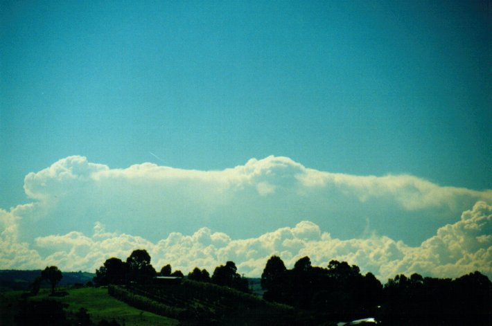 thunderstorm cumulonimbus_incus : McLeans Ridges, NSW   7 May 2001