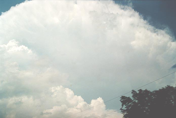 thunderstorm cumulonimbus_incus : N of Konowa, Oklahoma, USA   20 May 2001