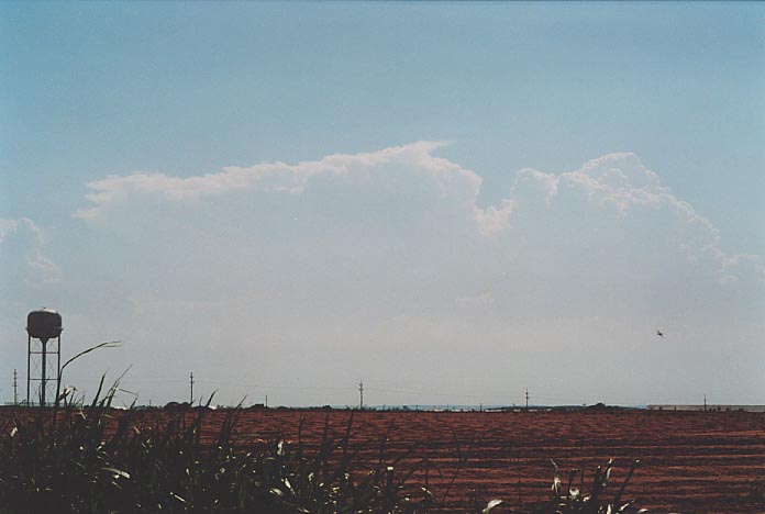 thunderstorm cumulonimbus_calvus : Childress, Texas, USA   26 May 2001
