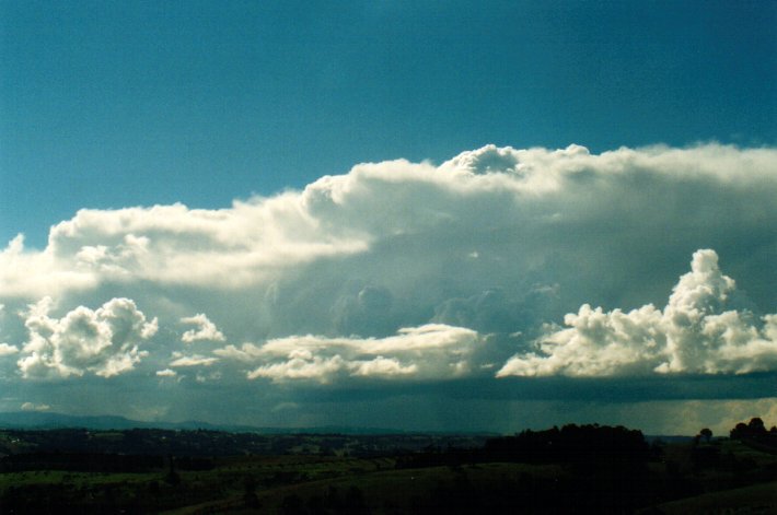 cumulus congestus : McLeans Ridges, NSW   3 July 2001