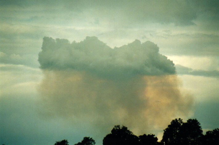 cumulus pyrocumulus : McLeans Ridges, NSW   3 July 2001
