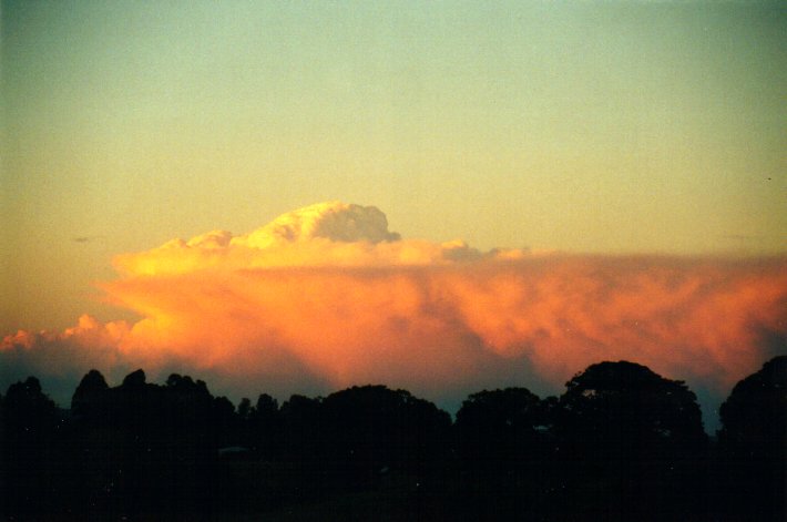 sunset sunset_pictures : McLeans Ridges, NSW   6 July 2001