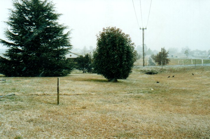 precipitation precipitation_rain : Ben Lomond, NSW   8 July 2001