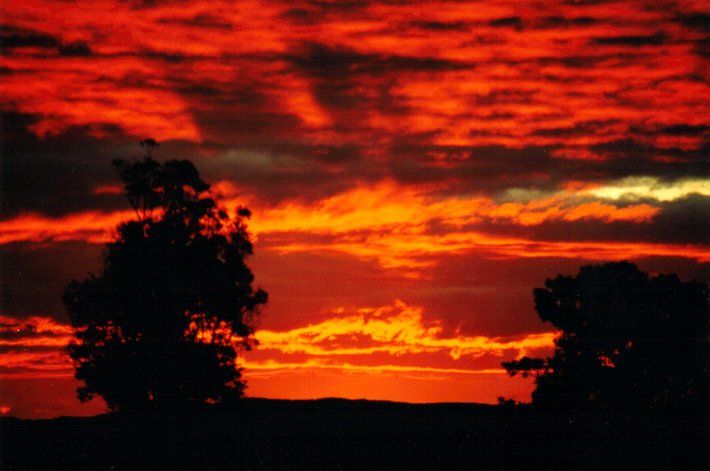 stratocumulus stratocumulus_cloud : McLeans Ridges, NSW   29 July 2001