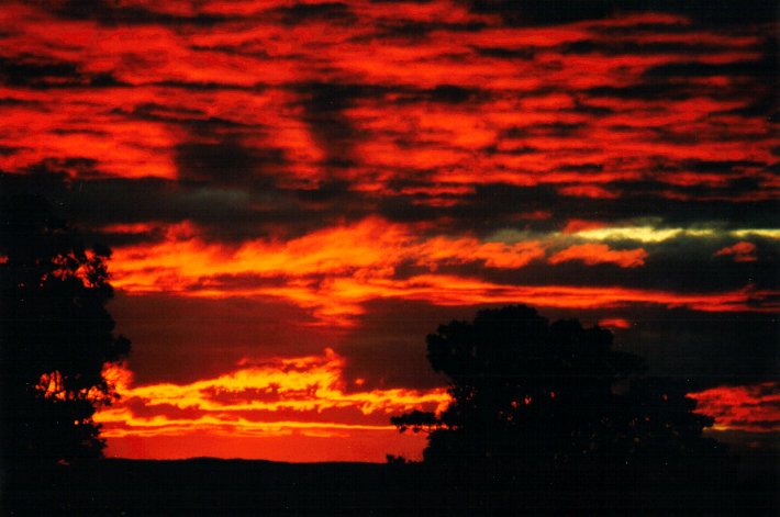 sunset sunset_pictures : McLeans Ridges, NSW   29 July 2001