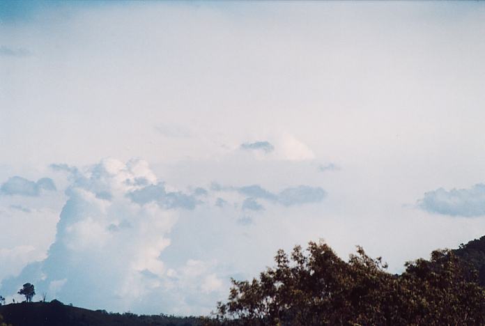 cumulus congestus : Stroud, NSW   26 August 2001