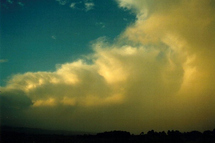 cumulus congestus : McLeans Ridges, NSW   26 August 2001
