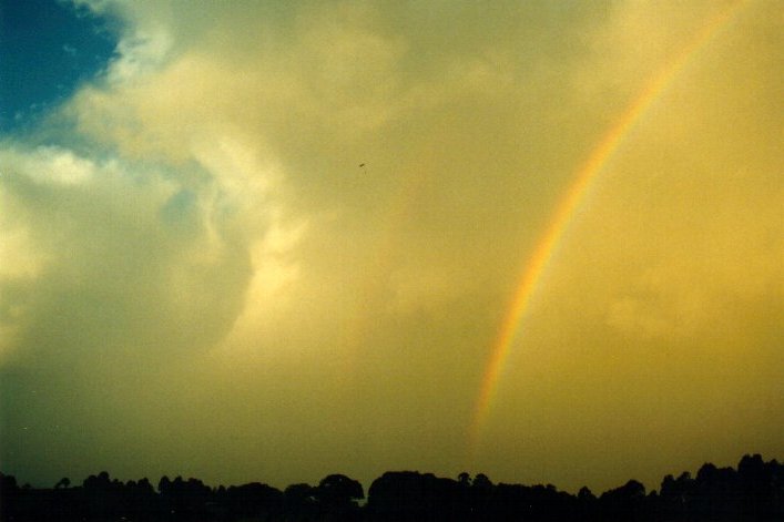 rainbow rainbow_pictures : McLeans Ridges, NSW   26 August 2001